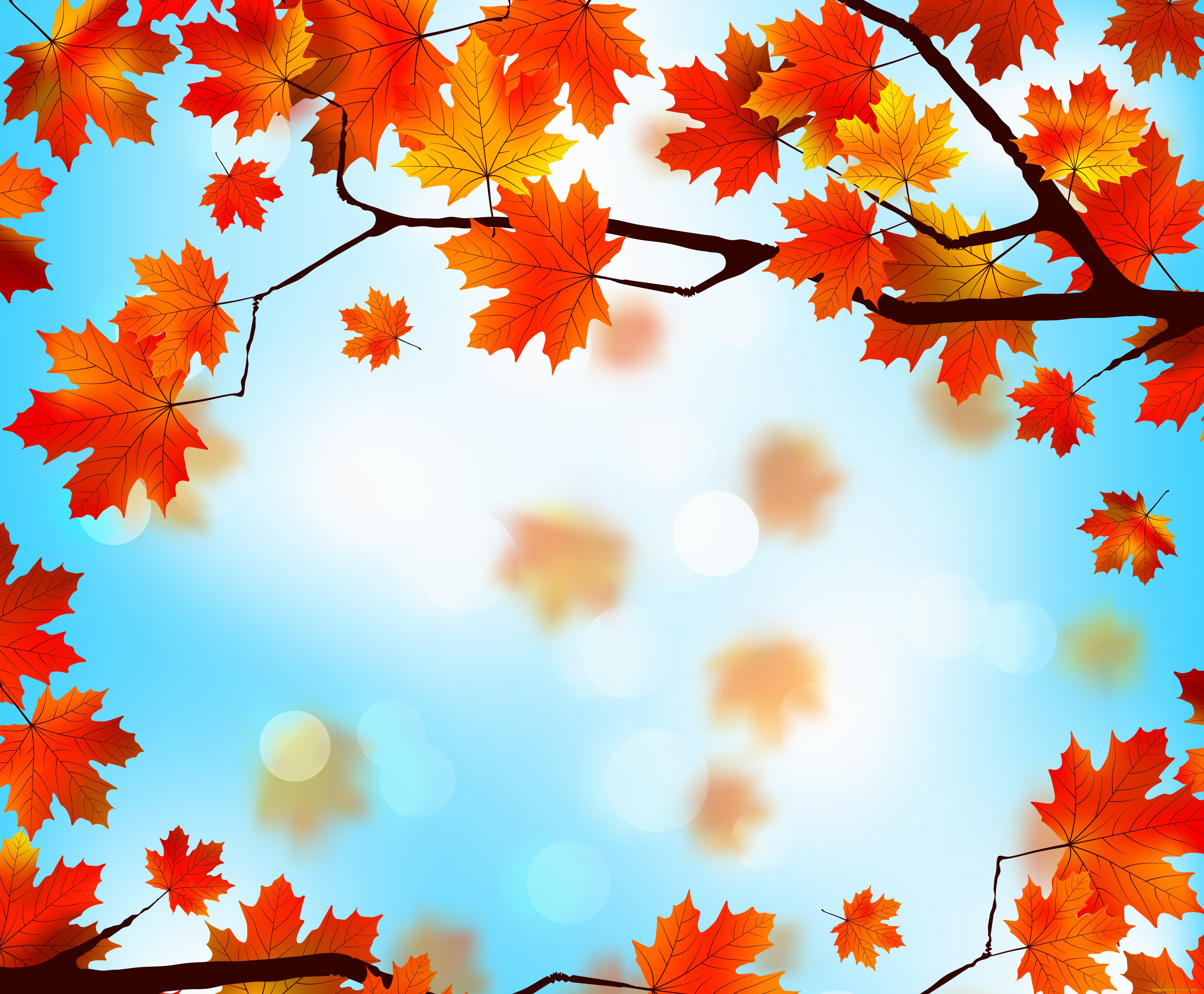  ,  , nature, , maple, leaves, autumn, , 